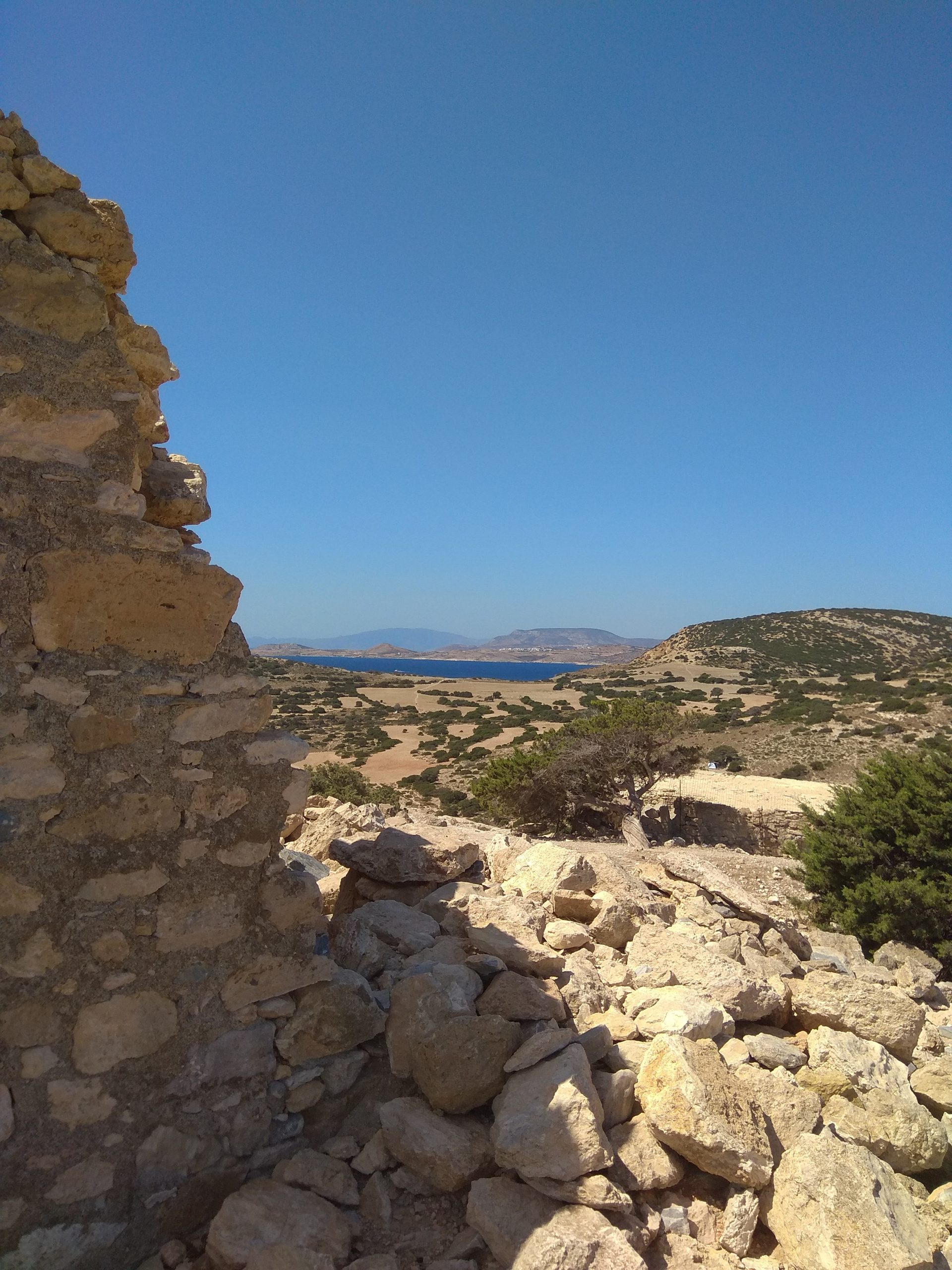 La banda dei bigoli liberi